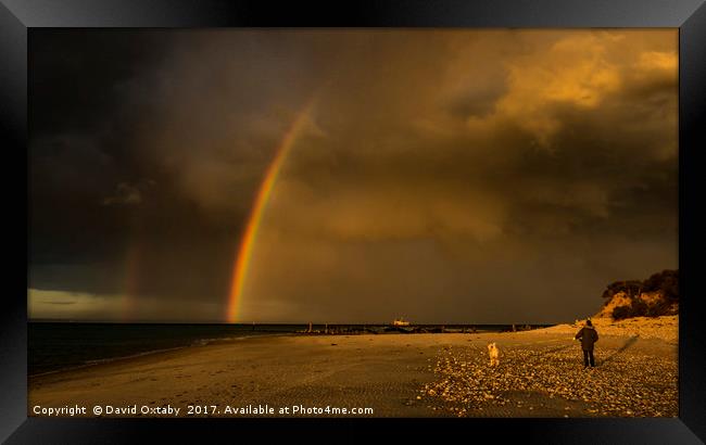 Rainbow over Bembridge Framed Print by David Oxtaby  ARPS