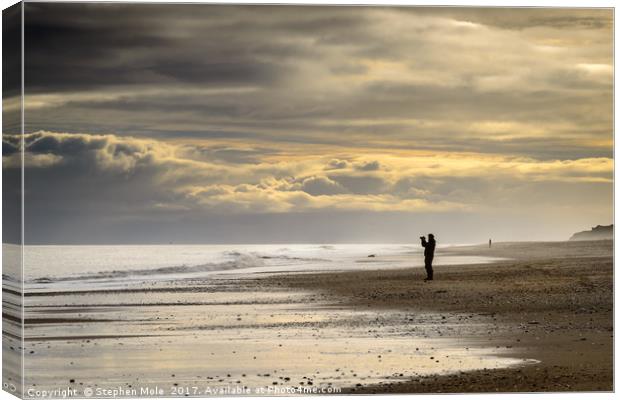 Lonely on Hemsby Beach Canvas Print by Stephen Mole