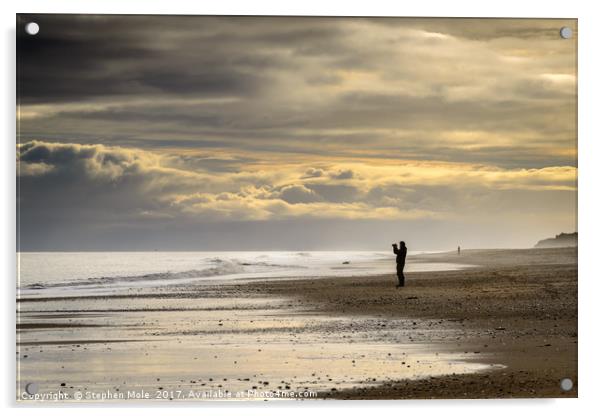 Lonely on Hemsby Beach Acrylic by Stephen Mole
