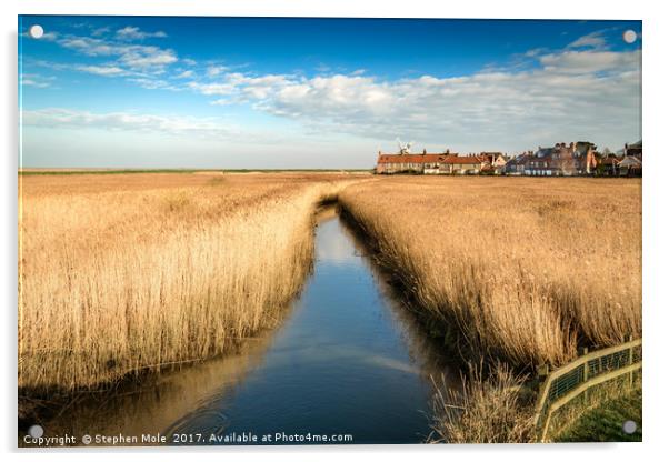 Cley Mill across the field Acrylic by Stephen Mole