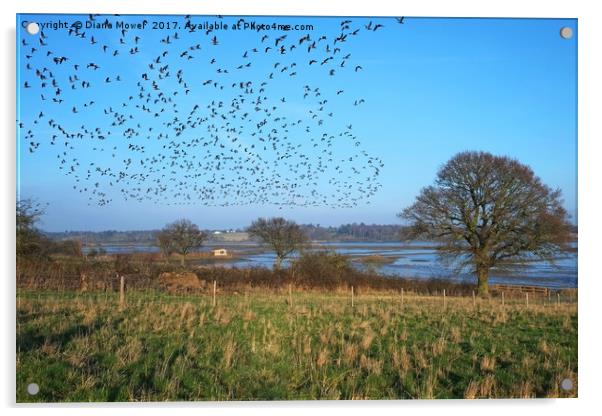 Brent Geese over the Colne Estuary Acrylic by Diana Mower