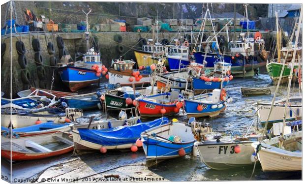 Mevagissey Harbour, Cornwall at  Low Tide Canvas Print by Elvia Worrall