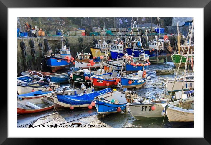 Mevagissey Harbour, Cornwall at  Low Tide Framed Mounted Print by Elvia Worrall