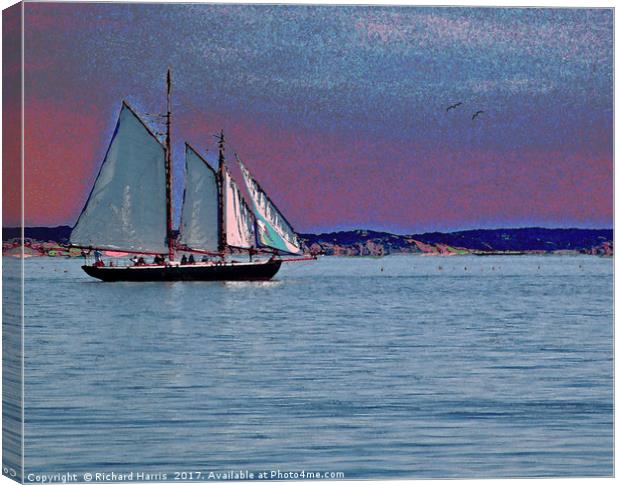 Sailing into the sunset Canvas Print by Richard Harris