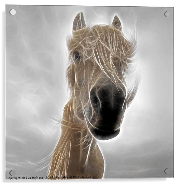 Mystic Horse Acrylic by Sue Holness
