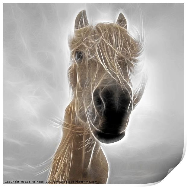 Mystic Horse Print by Sue Holness