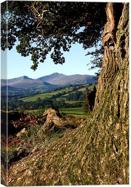Tremendous view of the Beacons Canvas Print by David (Dai) Meacham