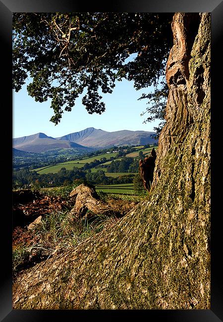 Tremendous view of the Beacons Framed Print by David (Dai) Meacham