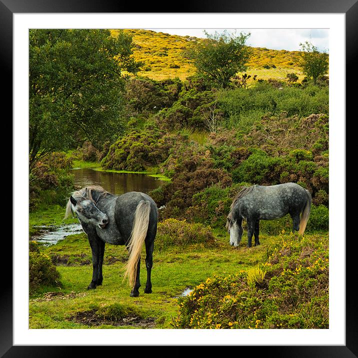 The Sanctuary Framed Mounted Print by Abdul Kadir Audah