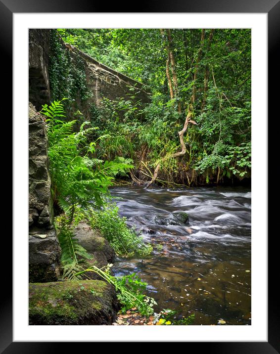 River Lynher, Cutmere, Cornwall, UK Framed Mounted Print by Mark Llewellyn