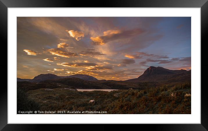 Horses under a Highland dawn sky Framed Mounted Print by Tom Dolezal