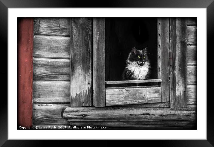 The watcher Framed Mounted Print by Laura Aykit