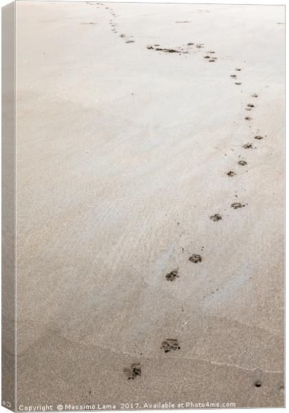 Footprints on tha sand Canvas Print by Massimo Lama