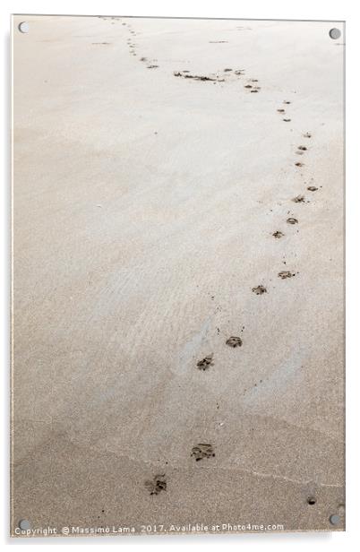 Footprints on tha sand Acrylic by Massimo Lama