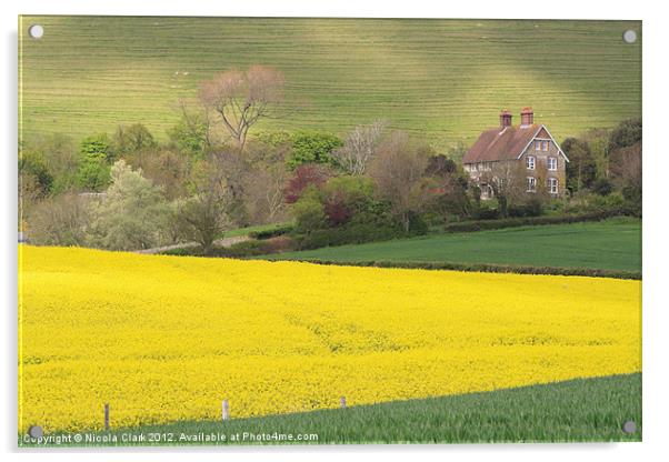 Rural Dorset Acrylic by Nicola Clark