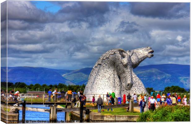Crowds at the Kelpies Canvas Print by Tom Gomez