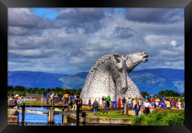 Crowds at the Kelpies Framed Print by Tom Gomez