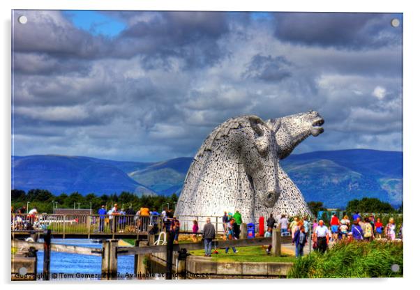 Crowds at the Kelpies Acrylic by Tom Gomez