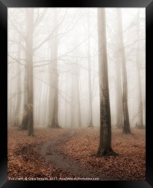 Foggy Forest Framed Print by Craig Doogan