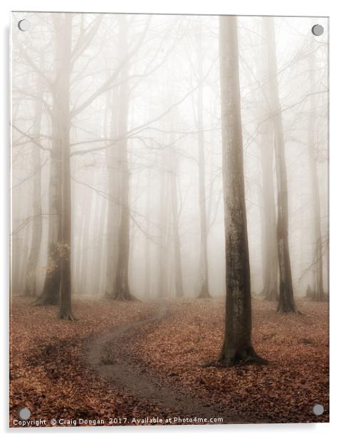 Foggy Forest Acrylic by Craig Doogan