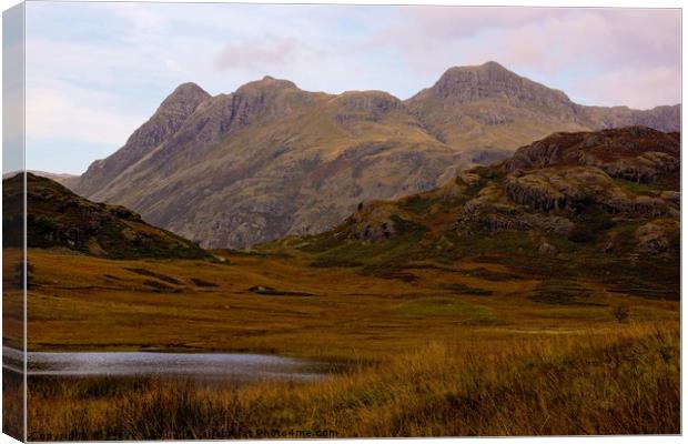 Blea Tarn and the Langdales Canvas Print by Kleve 