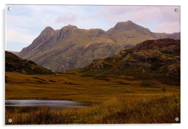 Blea Tarn and the Langdales Acrylic by Kleve 