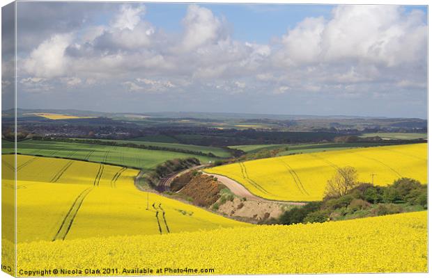 Dorset Countryside in Spring Canvas Print by Nicola Clark