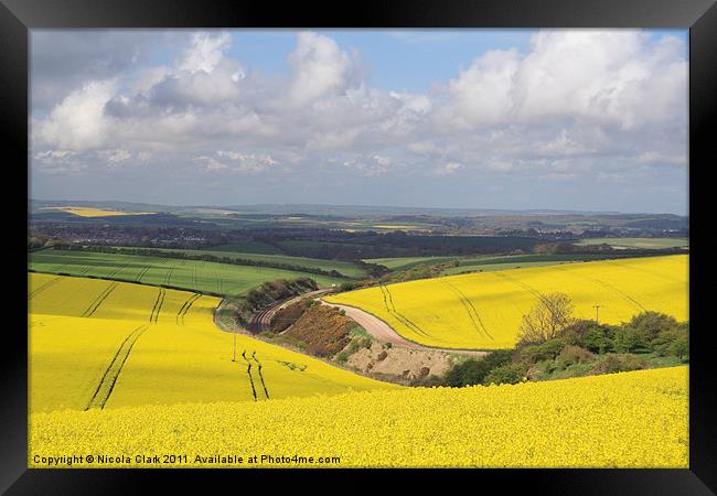 Dorset Countryside in Spring Framed Print by Nicola Clark