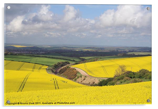 Dorset Countryside in Spring Acrylic by Nicola Clark
