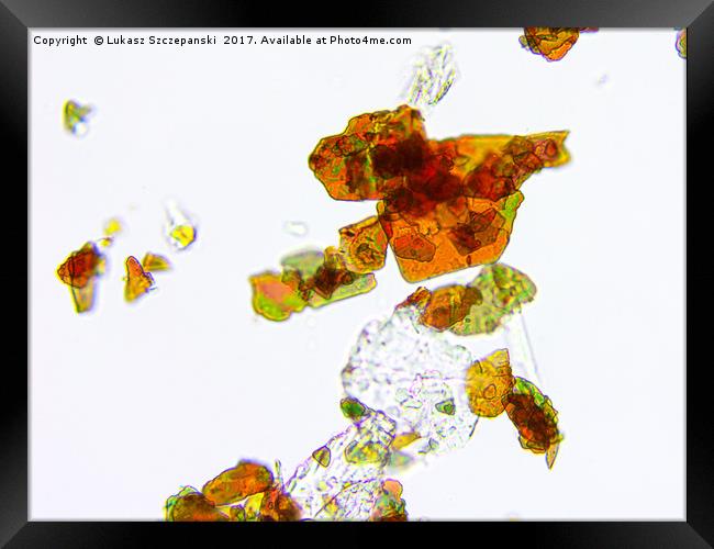 Microscopic image of gold eyeshadow Framed Print by Łukasz Szczepański