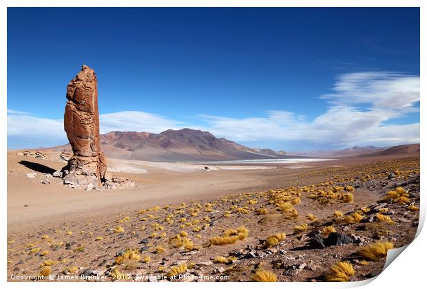 Moai de Tara and Salar de Aguas Calientes Chile Print by James Brunker