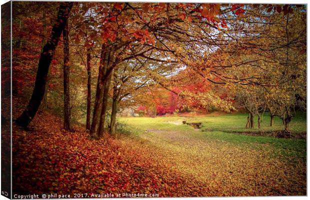 Fallen leaves Canvas Print by phil pace