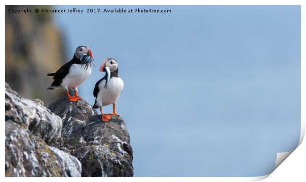 Lunchtime Competition Print by Alexander Jeffrey