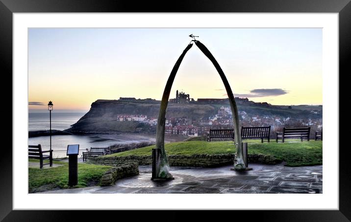 Whitby Whalebone Frost Framed Mounted Print by Dave Leason