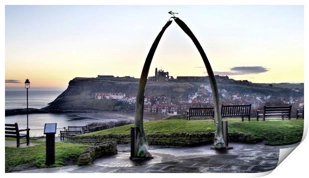 Whitby Whalebone Frost Print by Dave Leason
