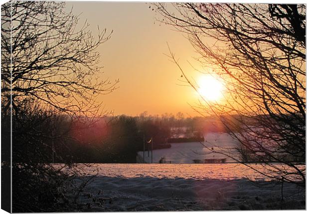 Winter sunset Canvas Print by Will Black
