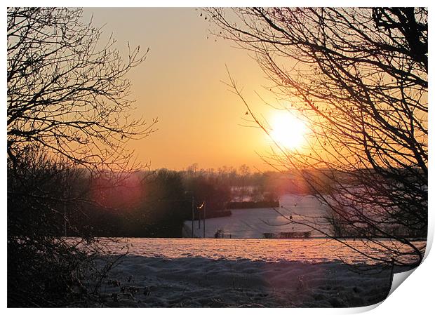 Winter sunset Print by Will Black
