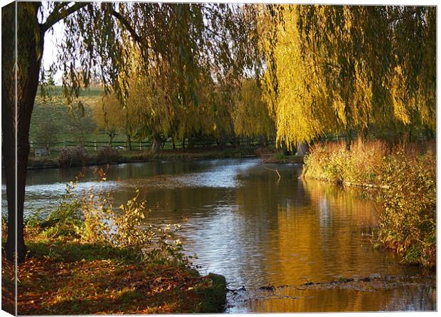 River Len in Autumn Canvas Print by Bel Menpes