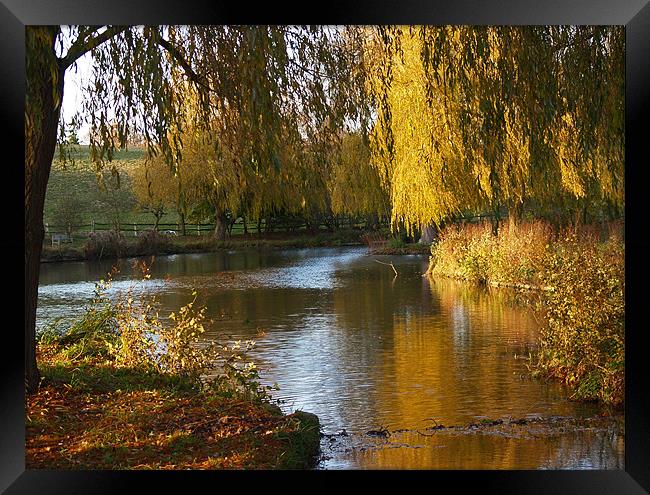 River Len in Autumn Framed Print by Bel Menpes