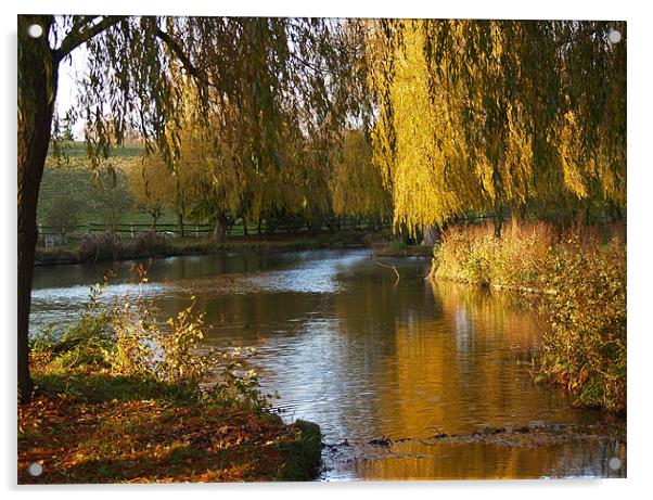River Len in Autumn Acrylic by Bel Menpes