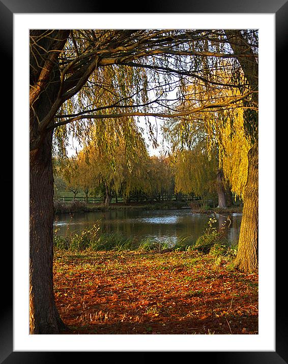 Autumn Colours Framed Mounted Print by Bel Menpes
