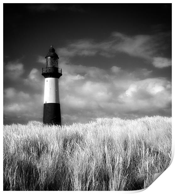 Cape Pembroke lighthouse Print by Paul Davis