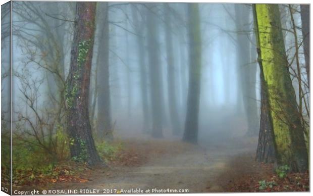 "A CHINK OF LIGHT IN A MISTY WOOD" Canvas Print by ROS RIDLEY