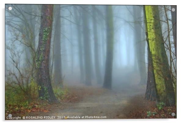 "A CHINK OF LIGHT IN A MISTY WOOD" Acrylic by ROS RIDLEY