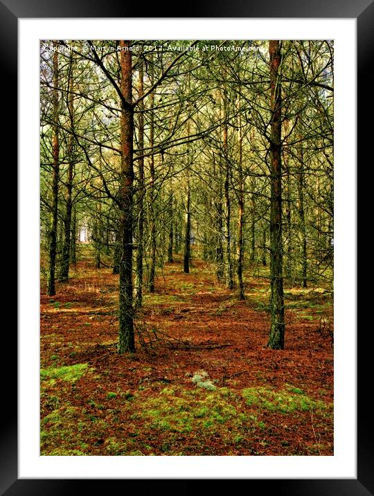 Winter Trees Framed Mounted Print by Martyn Arnold