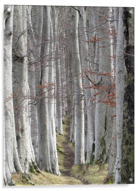 Woods for the Trees                                Acrylic by alan todd