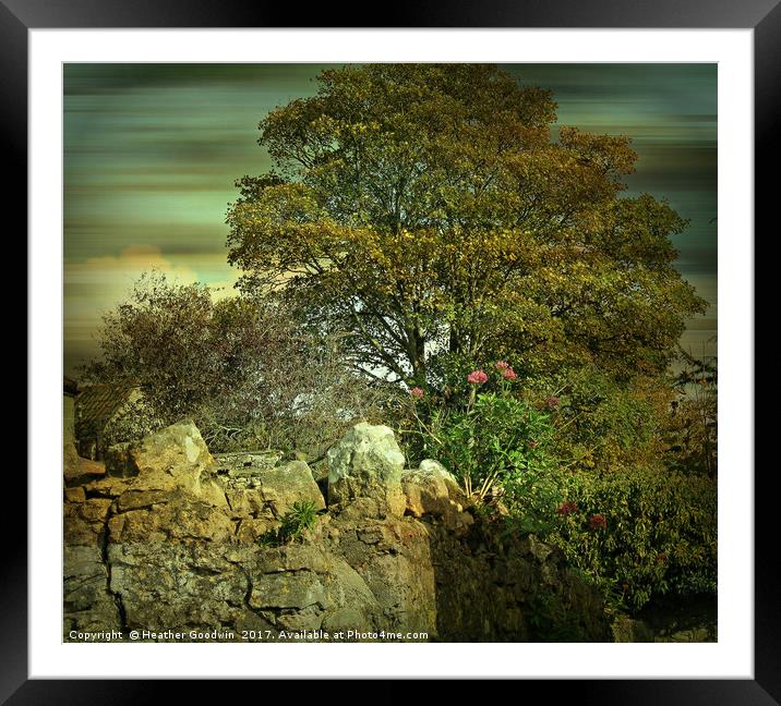 Over the Garden Wall. Framed Mounted Print by Heather Goodwin