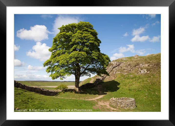 The Sycamore Gap on Hadrian's Wall Framed Mounted Print by Alan Crawford