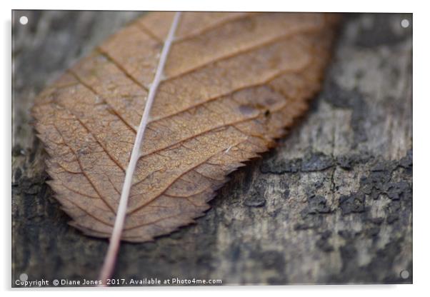 Fallen Autumn Leaf Acrylic by Diane Jones