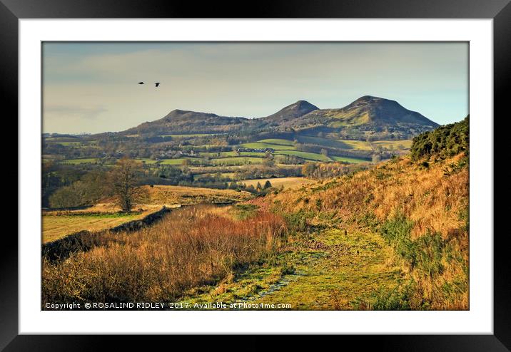 "PATH TO THE EILDON HILLS" Framed Mounted Print by ROS RIDLEY